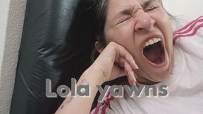 Lola yawns again