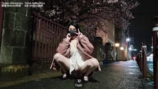 Naimi Naimi - Naimi's Public Playdate: Sakura Seduction