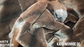 NYLON &amp; PELZ ASMR von Kate Monroe