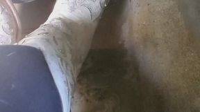 Gmc n white cowgirl boots