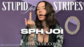 Stupid For Stripes SPH JOI