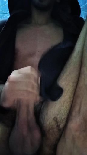 Moroccan African lion calling on a person who wants to disobey him   Clip 2
