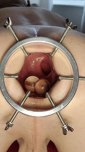 How Many Do You Count Ft David Anderson