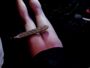 Self Masturbation and Paddled