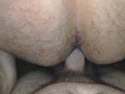 Ourson encule des ours (3 sodos)