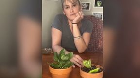 Guidance Counselor Takes Your Virginity Taboo Role Play
