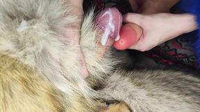 Trans Girl Gives Furjob, Handjob and Blowjob