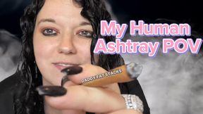 My Human Ashtray POV