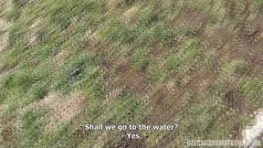 Czech Gay Amateurs 2 Backseat Blowjobs & Belly Shots