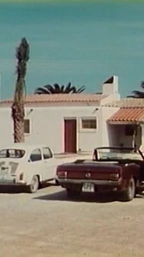 Hot Sex in Ibiza (1982)