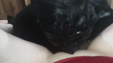 My husband licks my juicy pussy till I scream in bliss