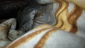 woke her up and come inside her warm tight pussy