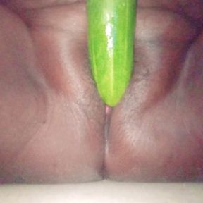 Veenax82 women got her pussy Fucking with cucumber  today