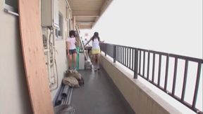 Cute Babes Take On Massive Cocks – Wet Pussies Stretched Wide