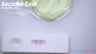 Creampie Compilation : I am pregnant! - แตกในไม่กี่ครั้งก็ท้องซะแล้ว