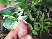Playing with my baby pierce in the garden