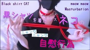 Masturbating "Meow Meow " of a male cat in a black shirt. Collar / Lead / Cosplay / Slender