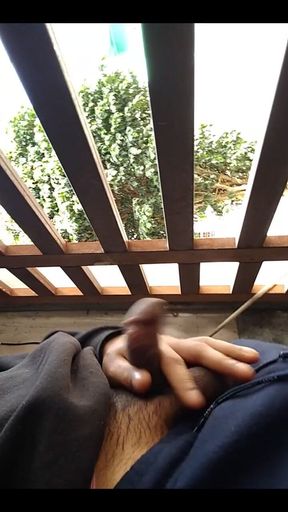 Starting the Day to Day