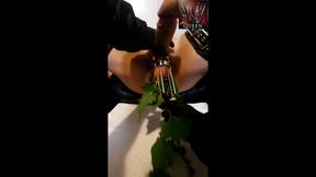 Cruel CBT Torment : Edging Your balls to Agony with Stretching and Stinging nettles