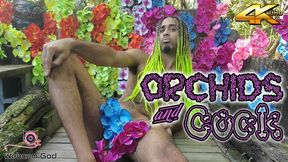 Orchids and Cock (4K)