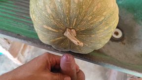 Hungry Dick Among Pumpkins for Halloween