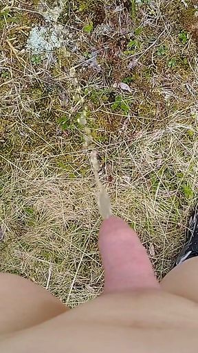 Pissing up in the Mountains