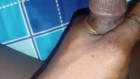 Biggest Africa black cucumber