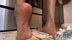 Tiny Kitchen Snooper