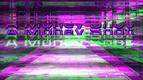 Valentina Bellucci Swallows