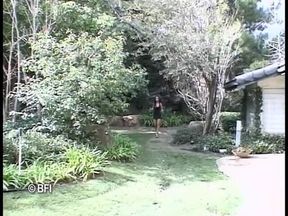 ass to mouth 2.