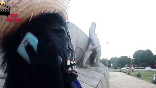 Macaco ventura pega professora acorda ela com pau na boca e goza