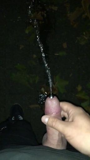 Peeing with hard dick outdoor