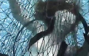 Trapped in a net