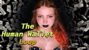 The Human Wallet Loop - Mind Fuck, Findom, Financial Domination 1080p mp4