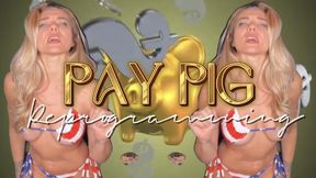 Paypig Reprogramming - oink & pay