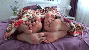 Three pairs of legs flirting under the blanket d