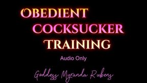 Obedient Cocksucker Training - Audio Only MP4