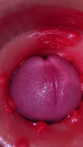 Camera in Vagina, Cervix POV, "Creampie" 4k   Clip 1