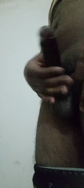 Who Likes Desi Land?