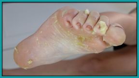 Lick your gooey treat off my feet and floor
