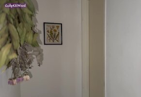 El Pino 420's Tattooed Stepsister Lady 420 Weed Craves My Hard Cock