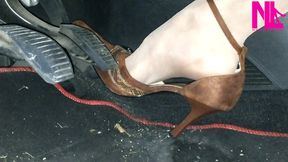 Revving and upskirt in nude pantyhose and brown buckled pumps
