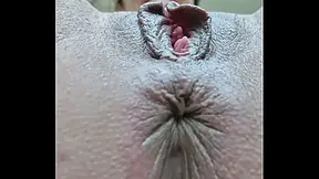 Lettywild Anus and Pussy Close Up