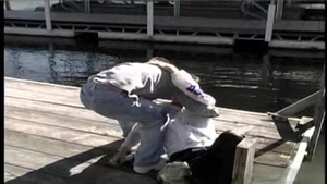 Boyz Party: Beneath Seth's Expert Touch