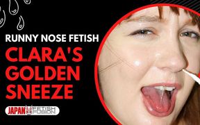 Clara's Golden Sneezes: a Nose's Tale