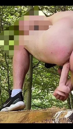 I Ride the Toy Out in the Woods