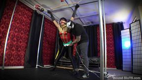 Robin Captured and Tormented