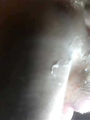 My Favorite Toy 4