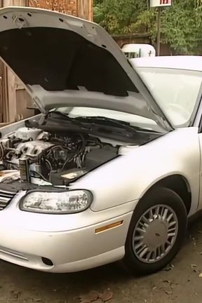 Yvonne Paradise: the Mechanic Makes Me Feel It All Inside