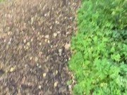 Jerking my dick in public flash